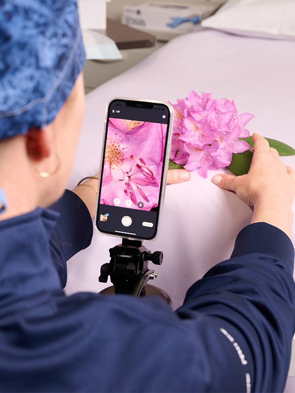 photography demonstration with a flower